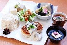 おとふハンバーグ膳