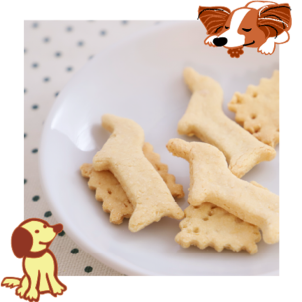 わんこクッキー頒布会（定期配送）9パック×4ヵ月