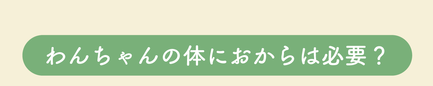 わんちゃんの体におからは必要？