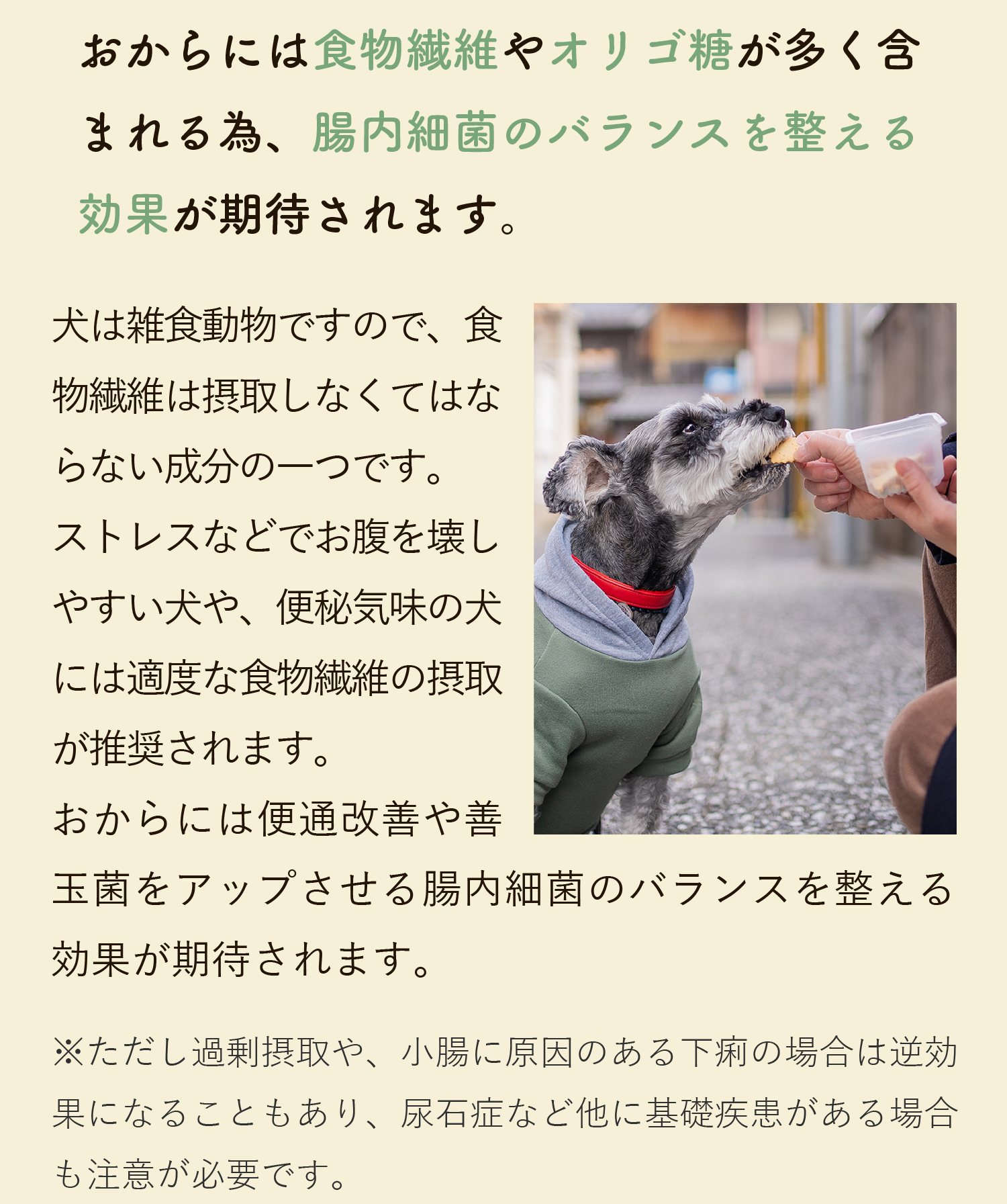 おからに含まれる食物繊維やオリゴ糖は、腸内細菌のバランスを整える効果が期待されます。