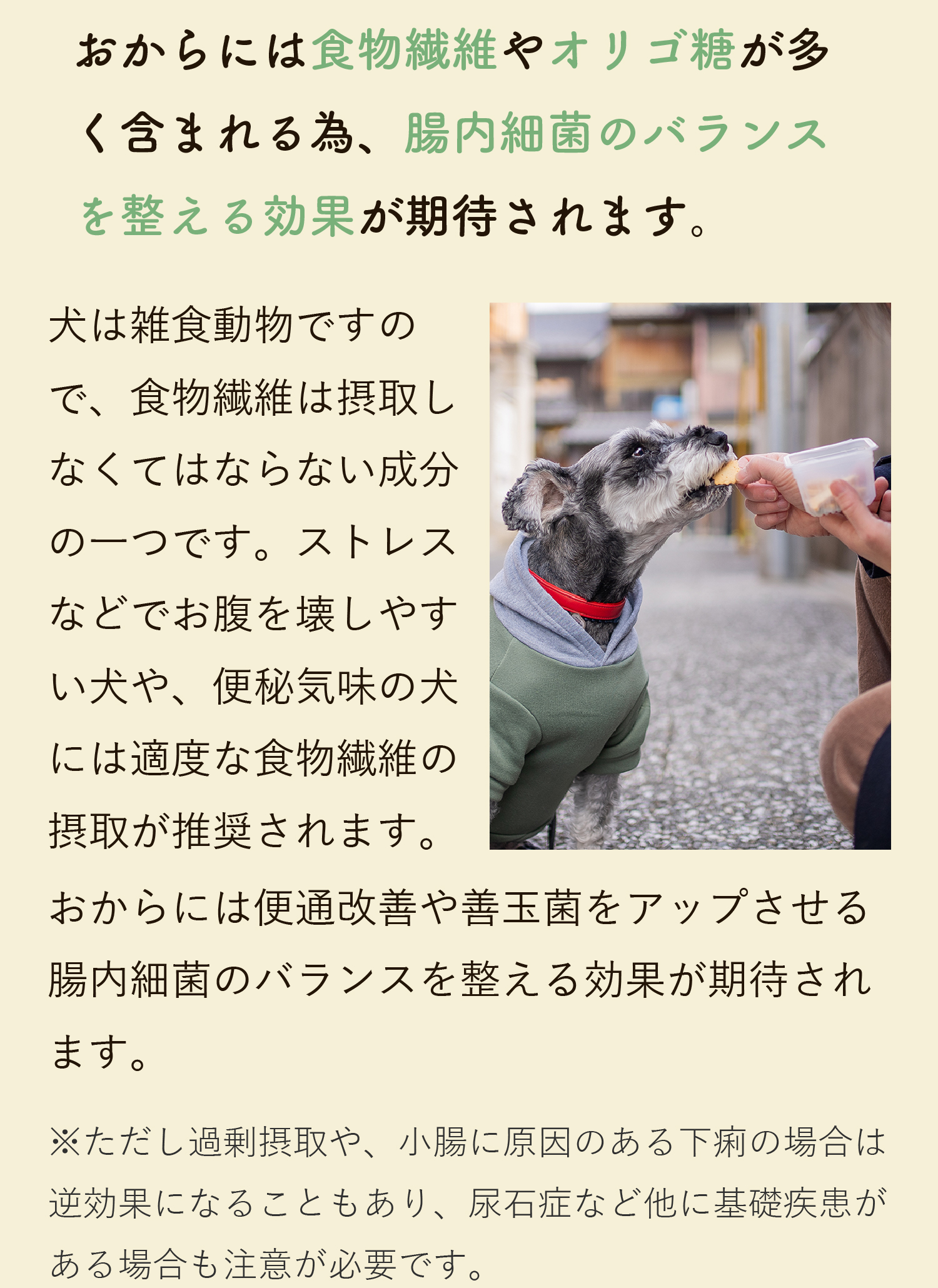 おからに含まれる食物繊維やオリゴ糖は、腸内細菌のバランスを整える効果が期待されます。