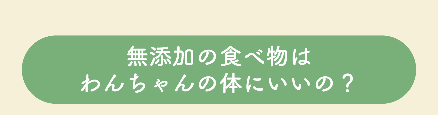 無添加の食べ物はわんちゃんの体にいいの？