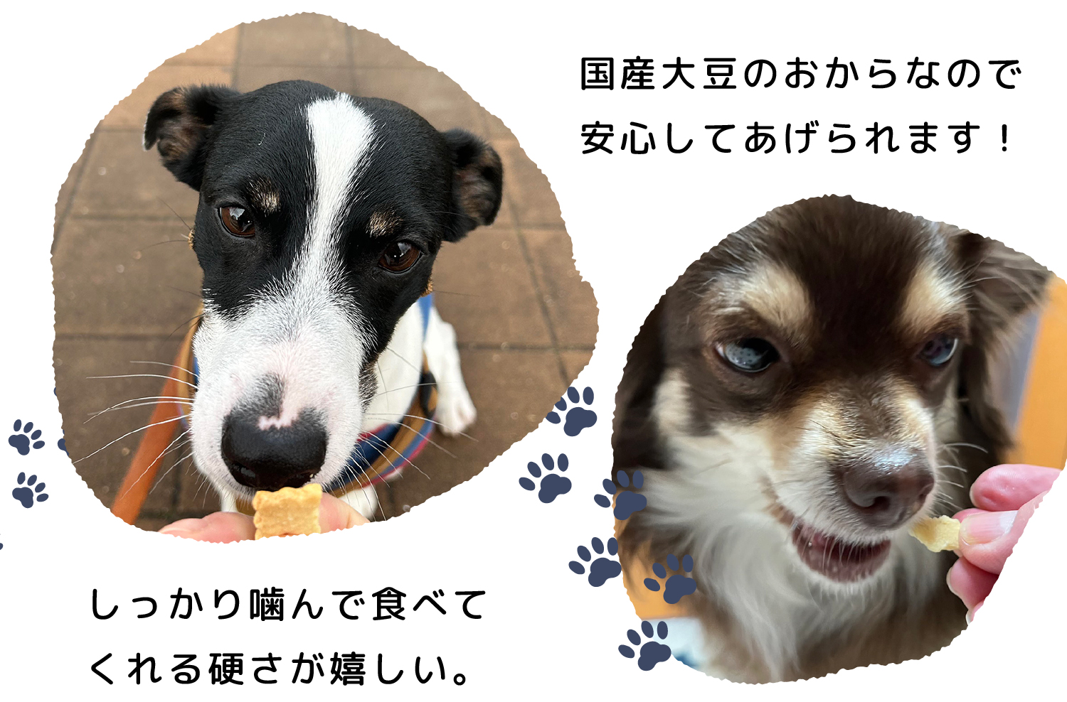 国産大豆のおからなので安心してあげられます!