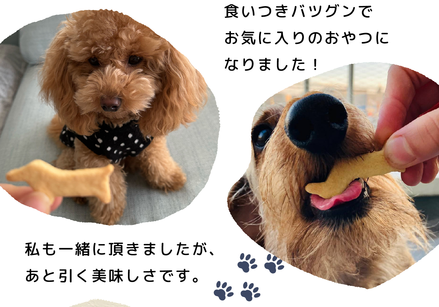 食いつきバツグンでお気に入りのおやつに!