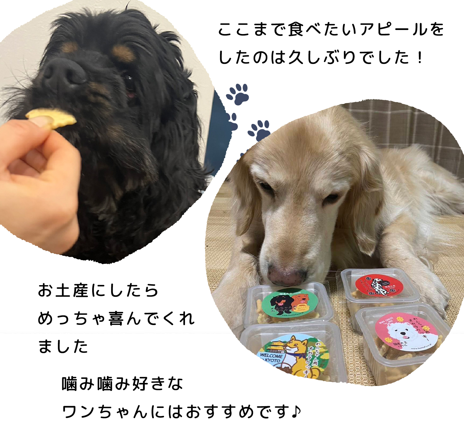 お土産にしたらめっちゃ喜んでくれました