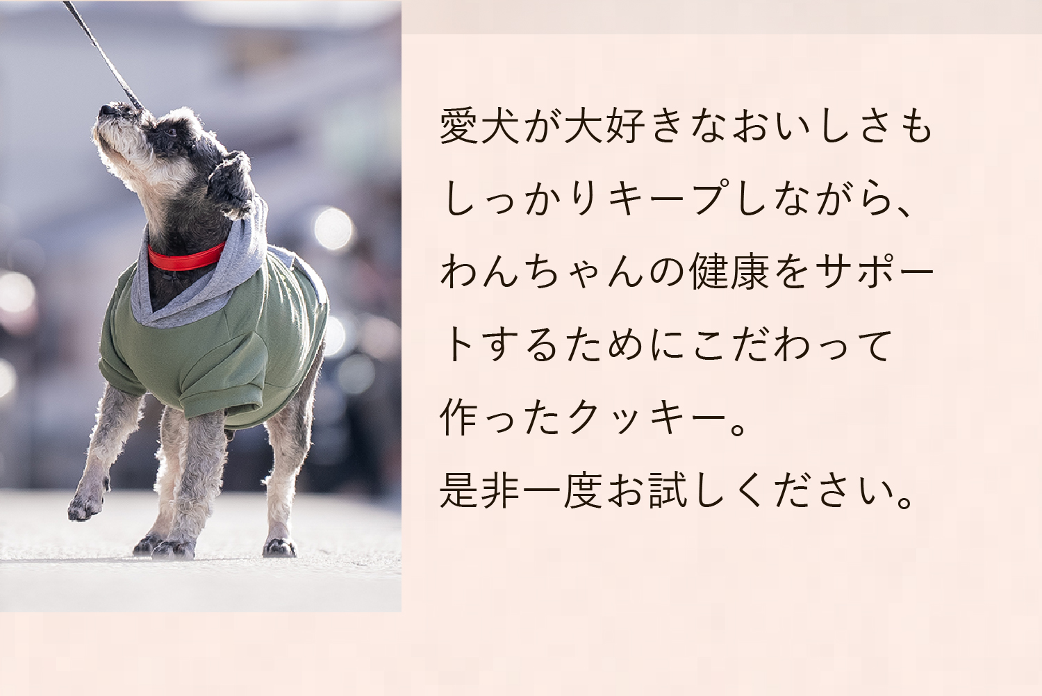 もちろん、おいしさもしっかりキープしています。ぜひお試しください。