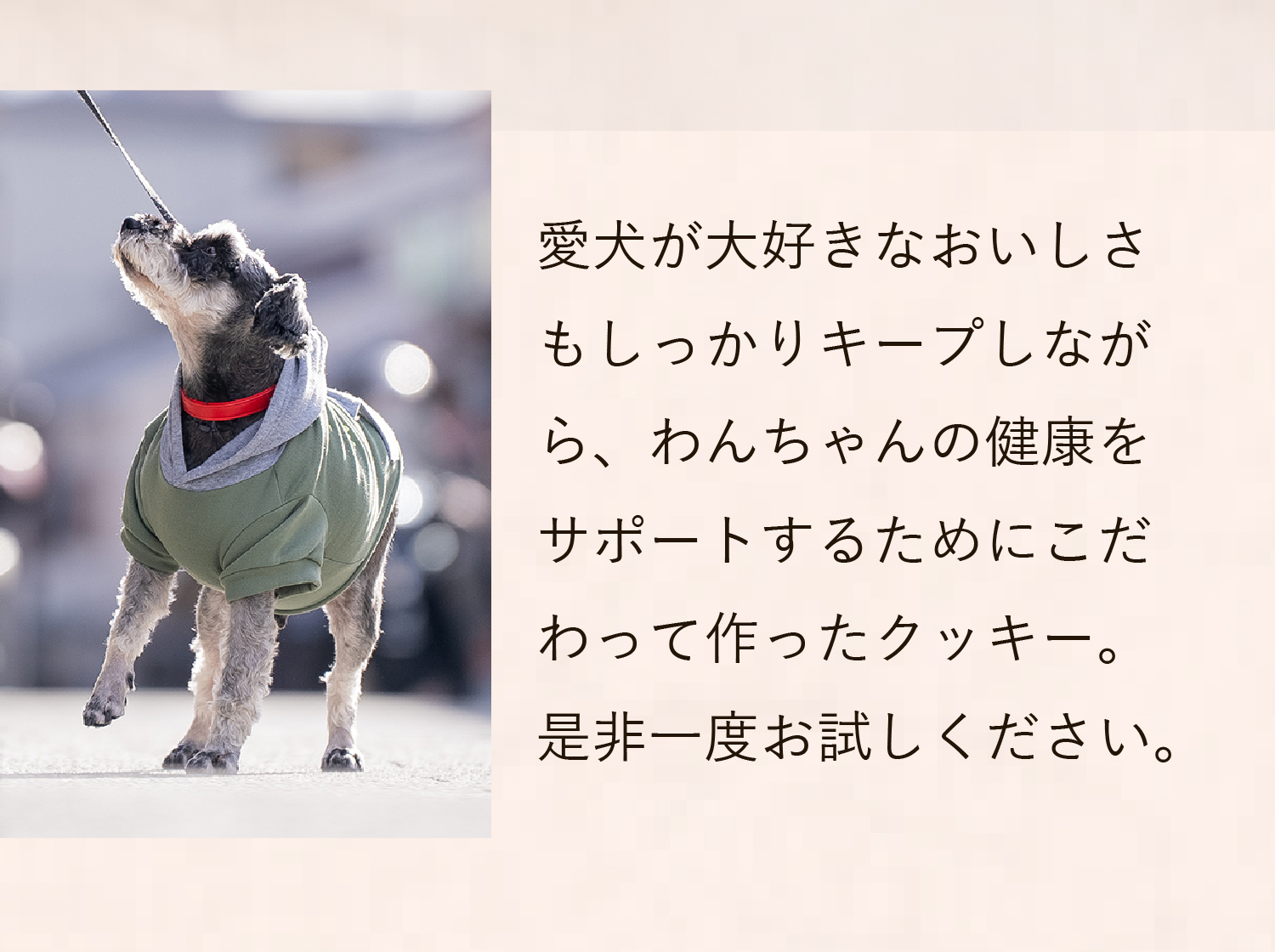 もちろん、おいしさもしっかりキープしています。ぜひお試しください。