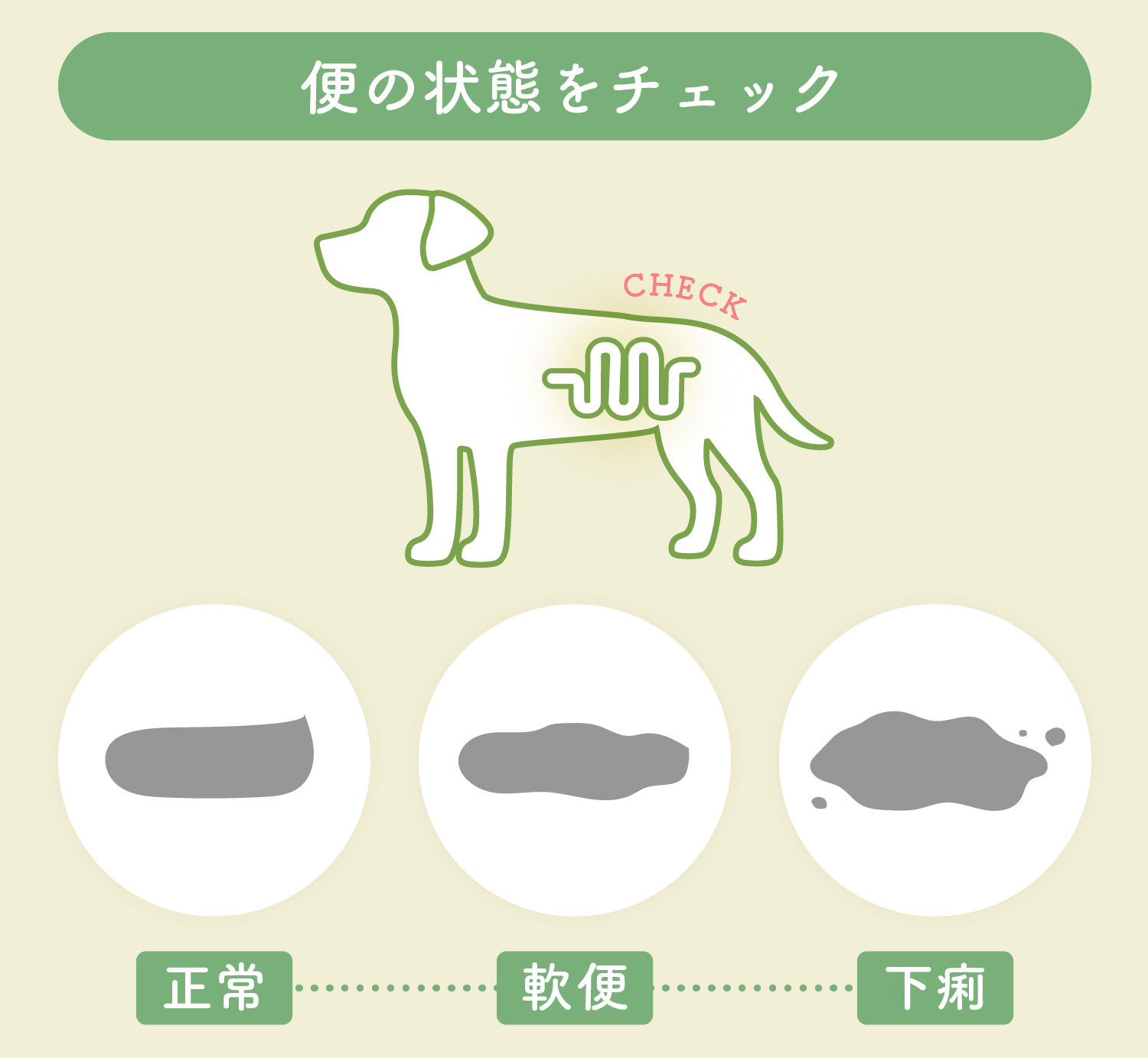下痢や軟便でお悩みのわんちゃんには、食物繊維が豊富な食べ物を与えるとお腹の調子を整えることができます。