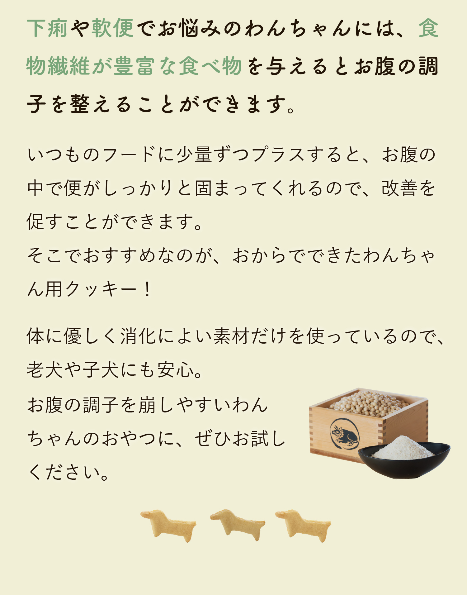 わんちゃんの便の状態をチェックしましょう。