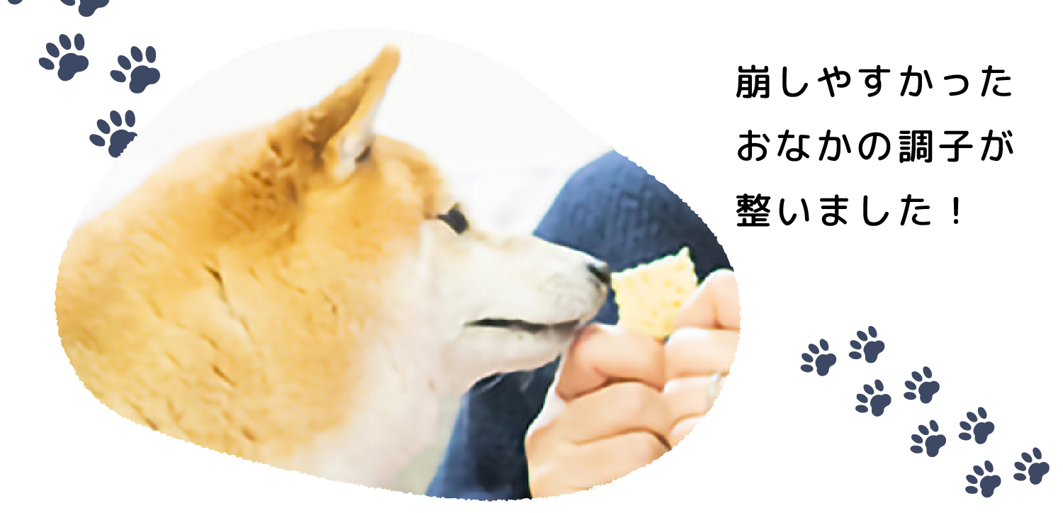 崩しやすかったおなかの調子が整いました!