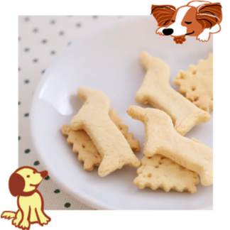 【とふとふ】わんちゃん用おからクッキー頒布会（定期配送）9パック×4ヵ月